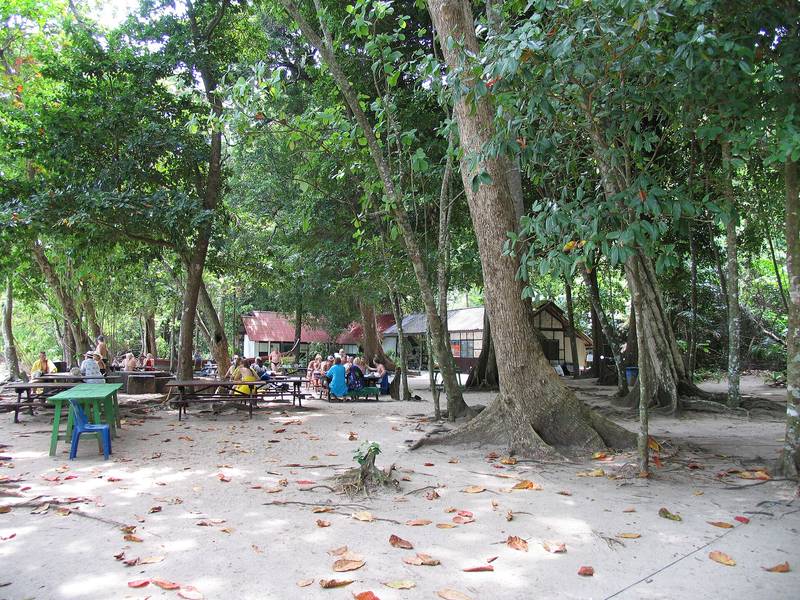 โต๊ะม้านั่งใต้ร่มสนบนพื้นทรายหลังชายหาด